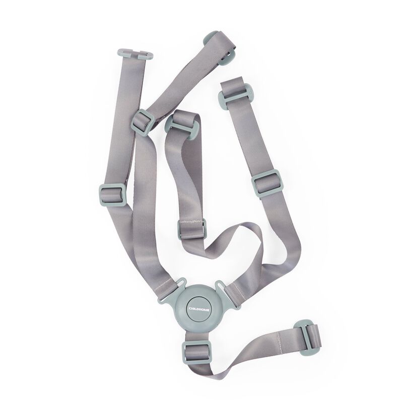 5-point harness Evolu/Evosit mint