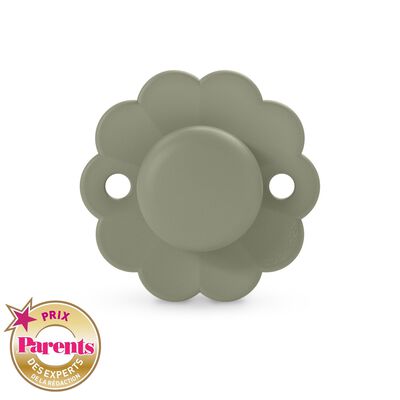Reversible soother SX Pro 6/18M Wonder Hedge Green