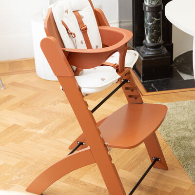 EVOSIT Chaise Evolutive + Tablette - Rouille