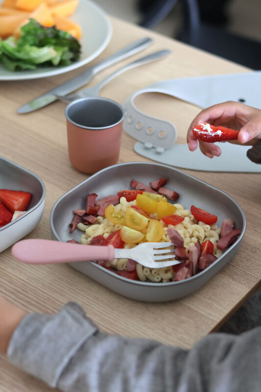 RVS Maaltijdset voor Magnetrongebruik - Terracotta