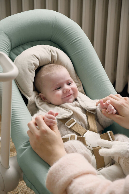 Up and Down Baby Bouncer Plus seagrass