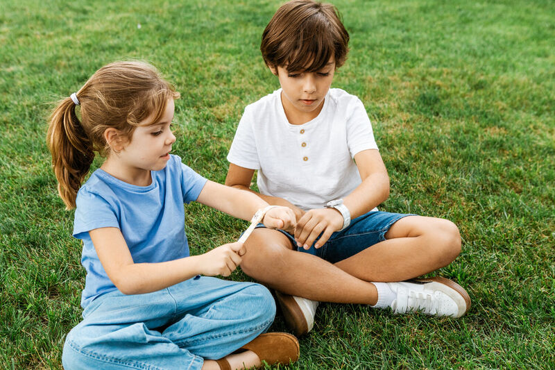 Zitronengras-Armband mit 2 Nachf&uuml;llungen - L&ouml;we