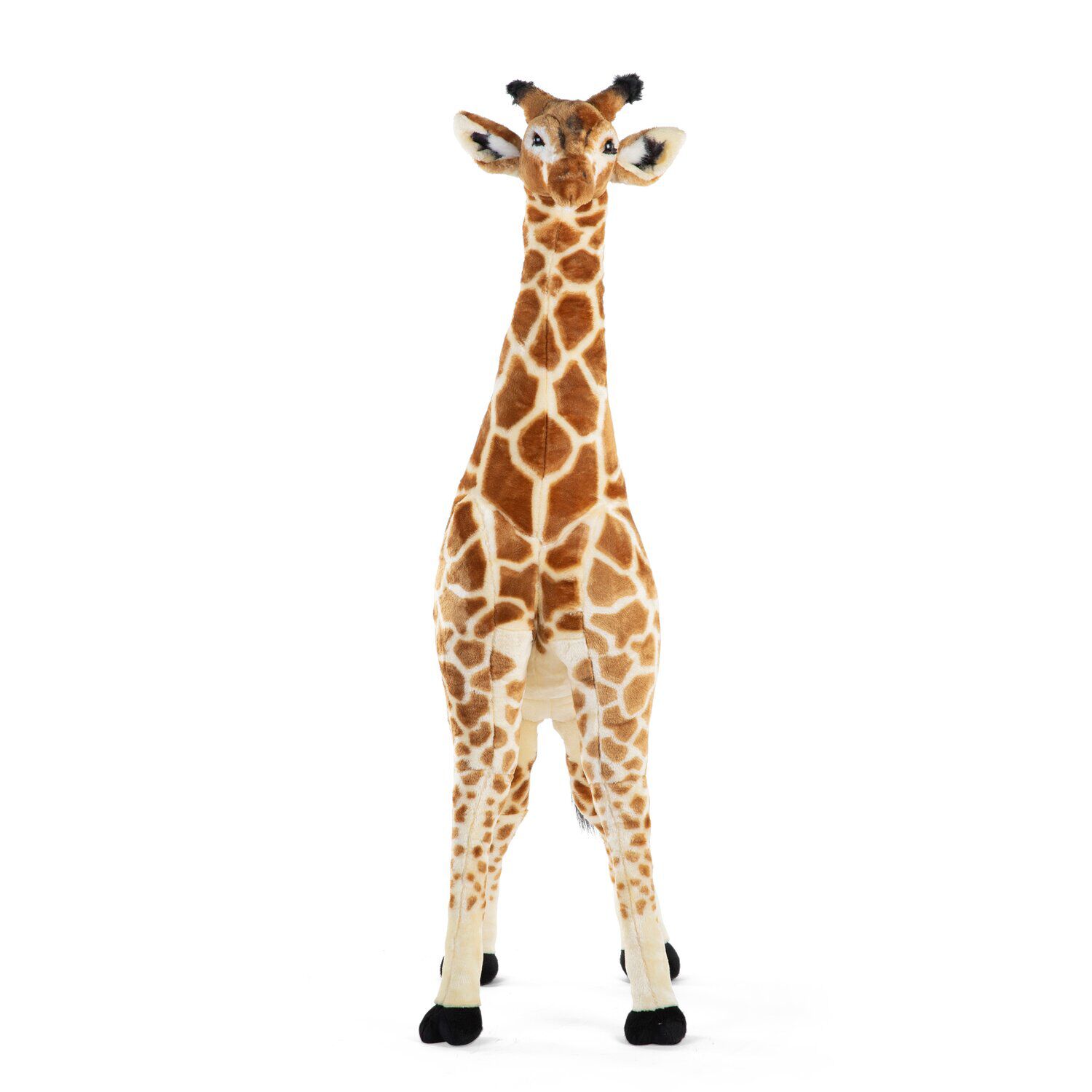 Standing Giraffe