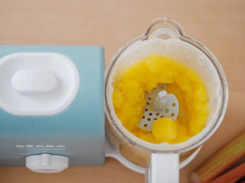 Babycook Express&reg; Baby Food Maker Processor baltic blue 