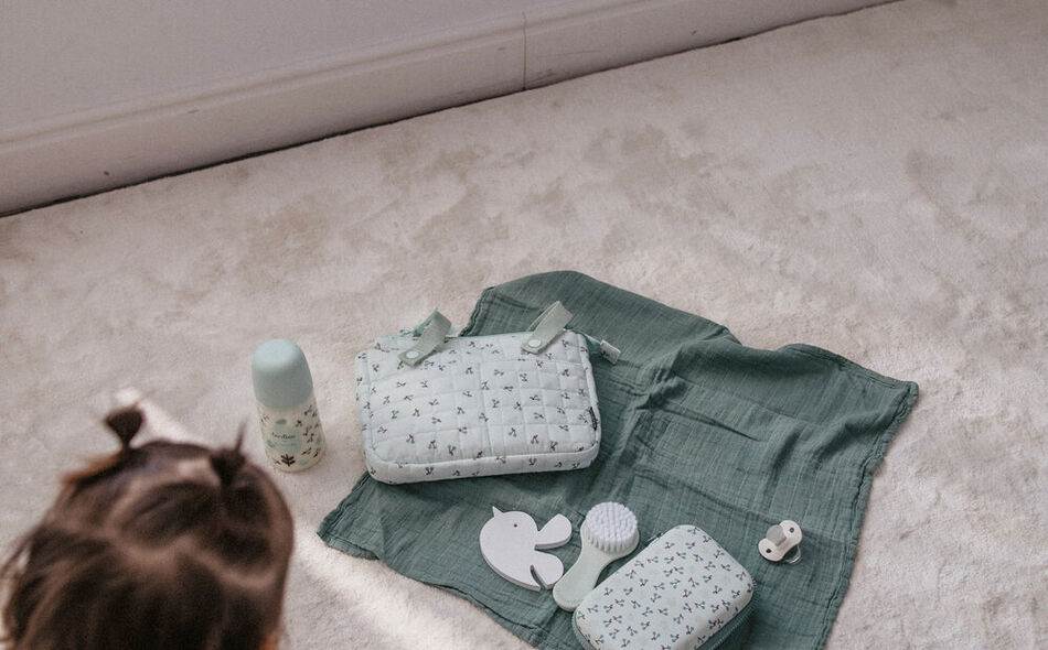 Set brosse et peigne Birdies