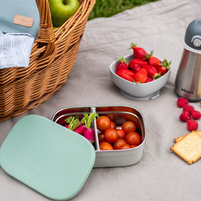 Bo&icirc;te repas inox Vert sauge