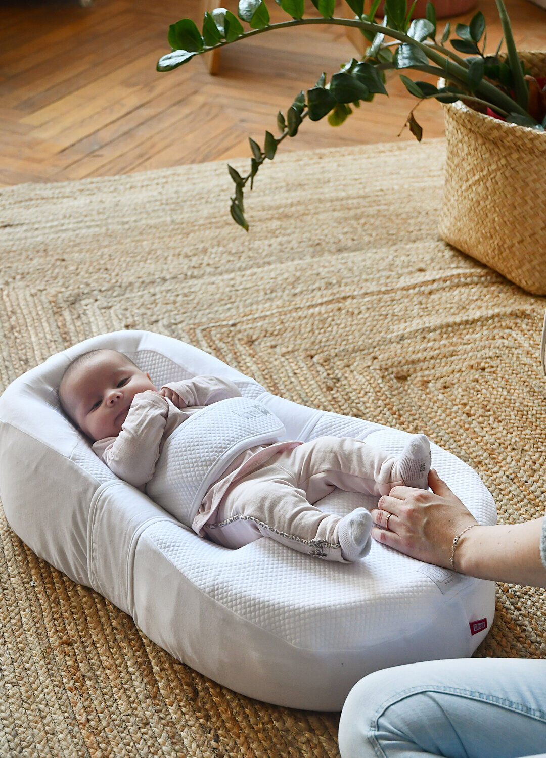 ☆コクーナベビーcocoonababy（コクーナベビー） Cocoonababy® (with sheet) fleur de coton®