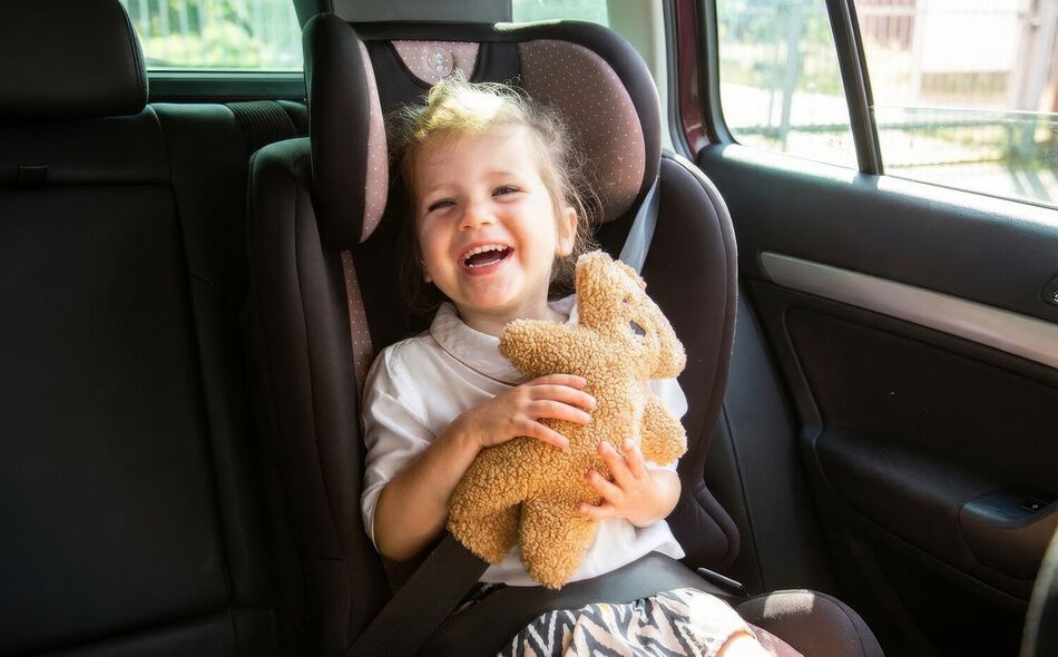 Cintura di sicurezza Teddy marrone