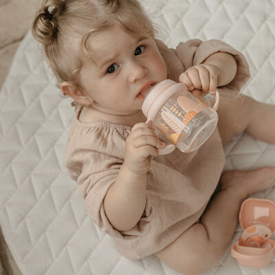 Biberon avec anses et bec silicone Dreams +6m Pink