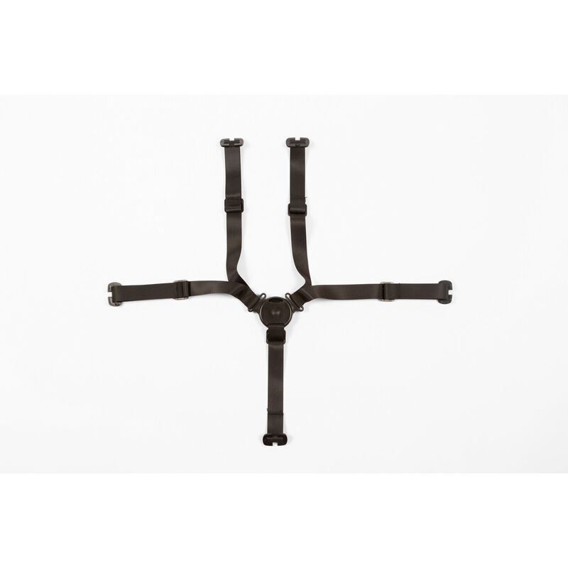 5-Punkt-Gurt Evolu - Schwarz
