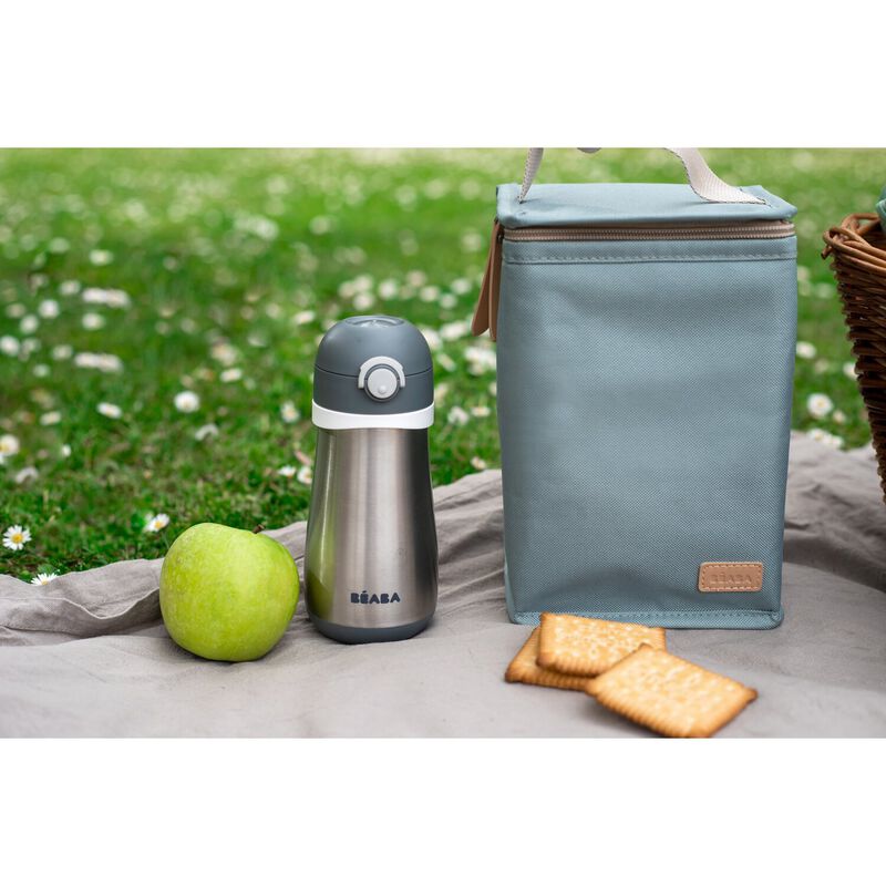 Insulated lunch pouch frosty green
