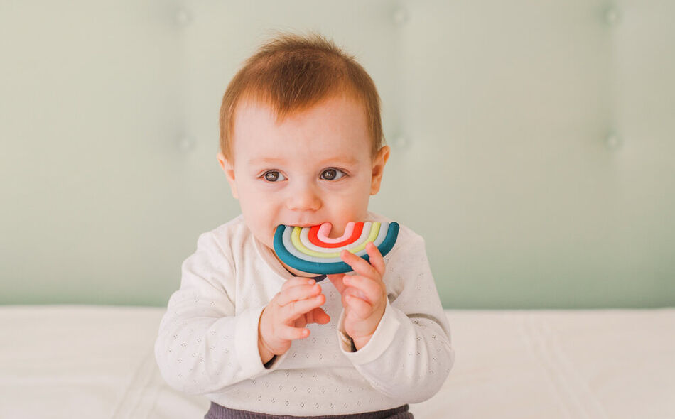 Cooling teething ring stage 2 +4m