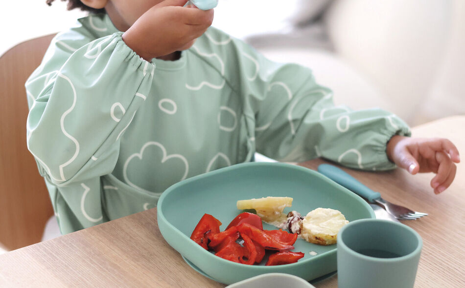 2 in 1 Evolutionary Bib with removable handle and foldable pocket - Sage Green