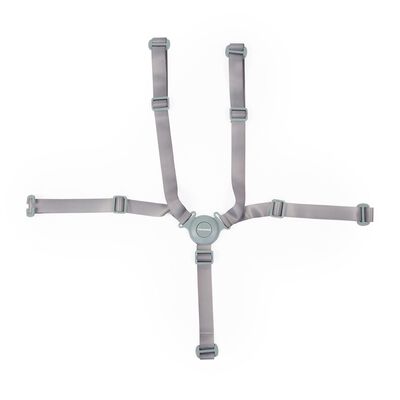 5-point harness Evolu/Evosit mint