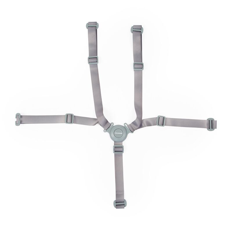 5-point harness Evolu/Evosit mint