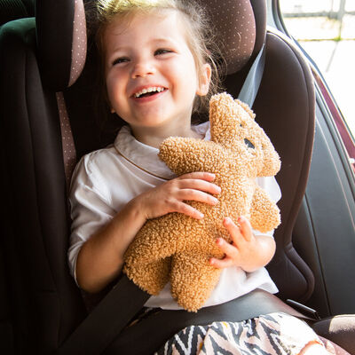Veiligheidsgordel Teddy bruin