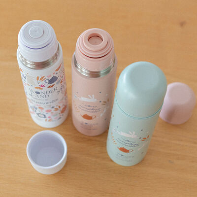 Wonderland 500ml insulated bottle