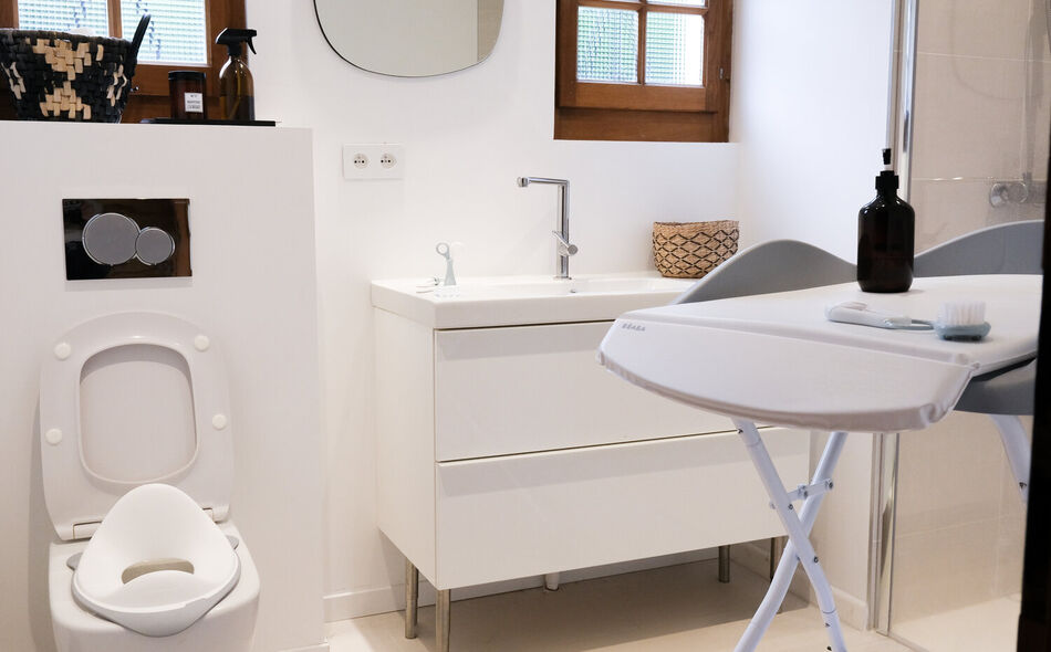  Toilet Seat light mist