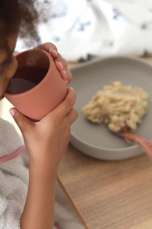 Coffret repas silicone Terracotta