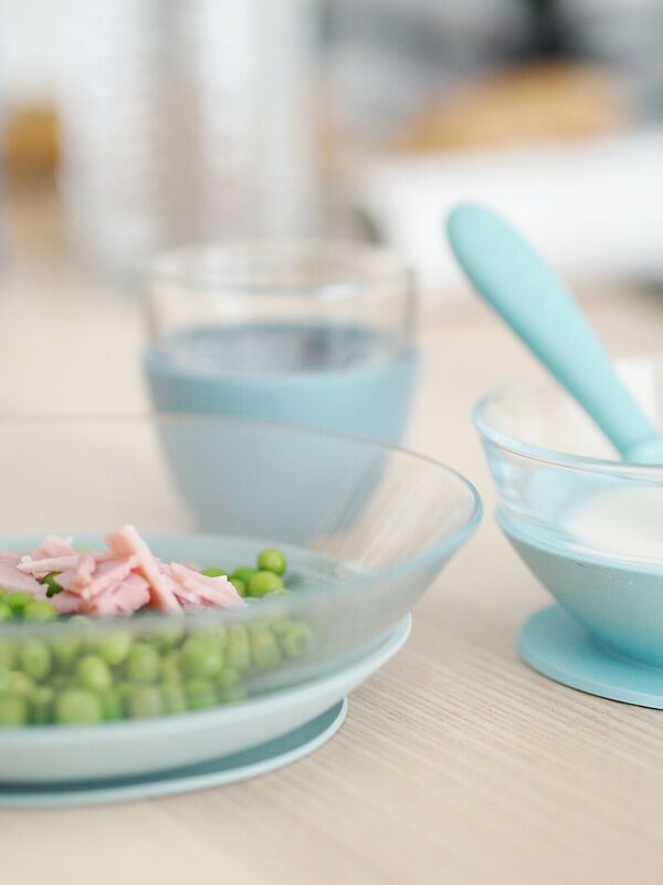 Glass Meal Set jungle