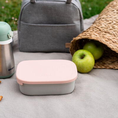 Bo&icirc;te repas inox Rose poudr&eacute;