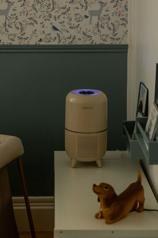 Purificateur d'air - Zen Clear - Argile