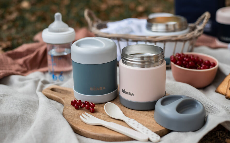 Thermo Portion Stainless Steel Isothermal Food Jar Container 300 ml (Dark mist/Light pink)