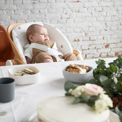 Cushion Newborn Evolu Jersey Hearts