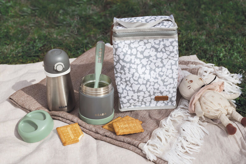 Stainless Steel Insulated Jar 10 oz mineral grey