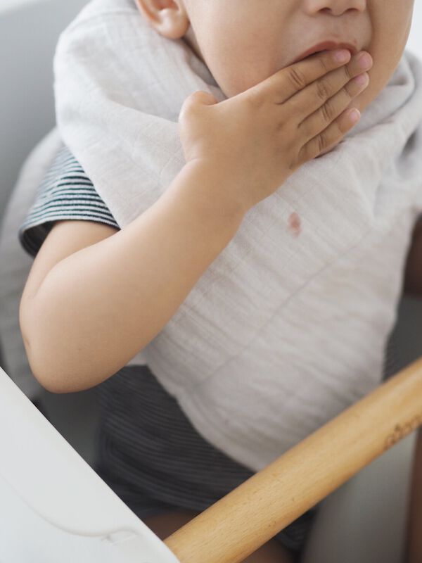 Pack of 3pcs Swaddle Muslin - Swan