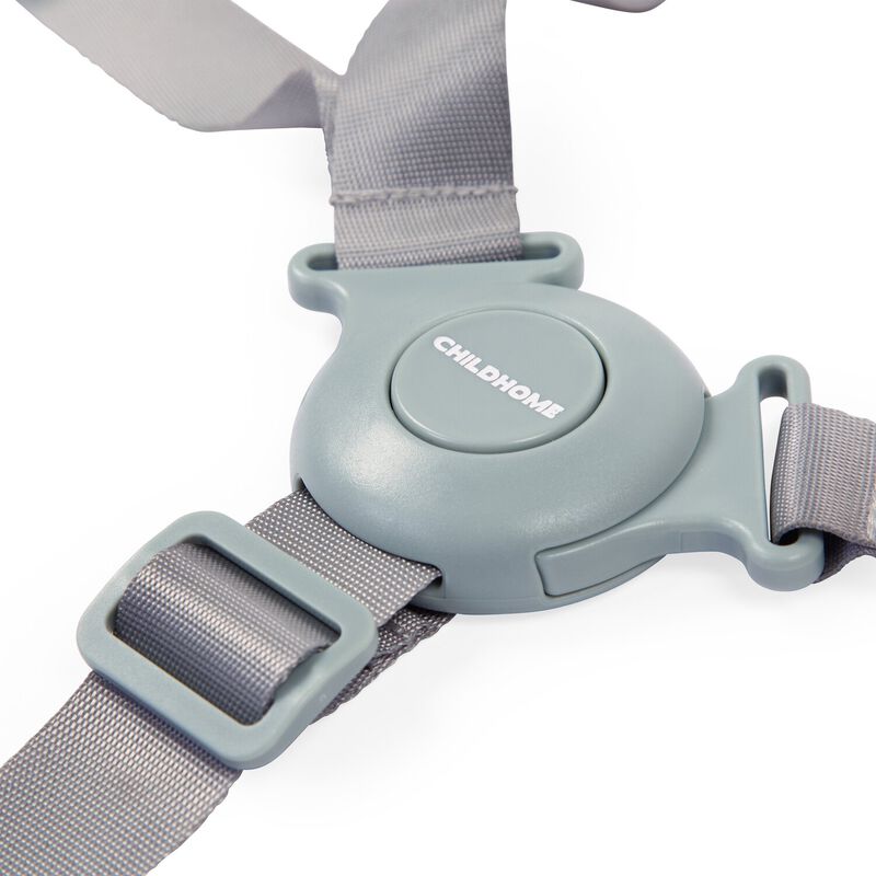 5-point harness Evolu/Evosit mint
