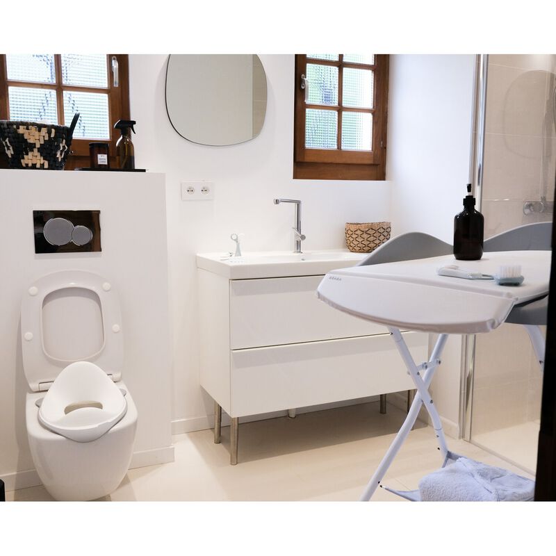  Toilet Seat light mist