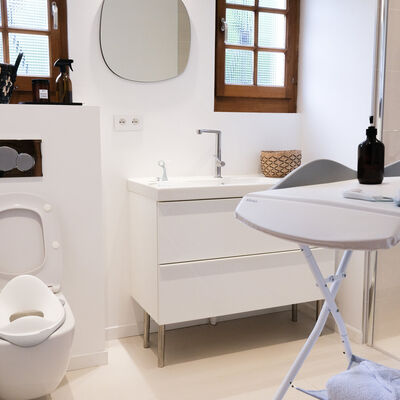 Toilettensitz light mist