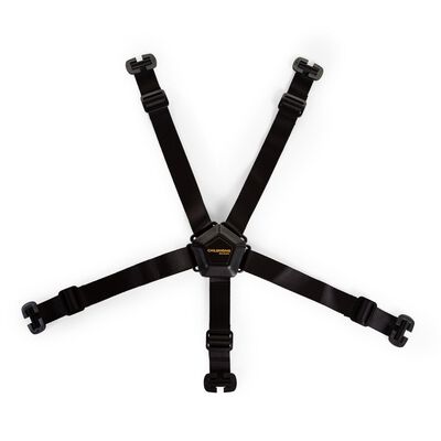 5-point harness black