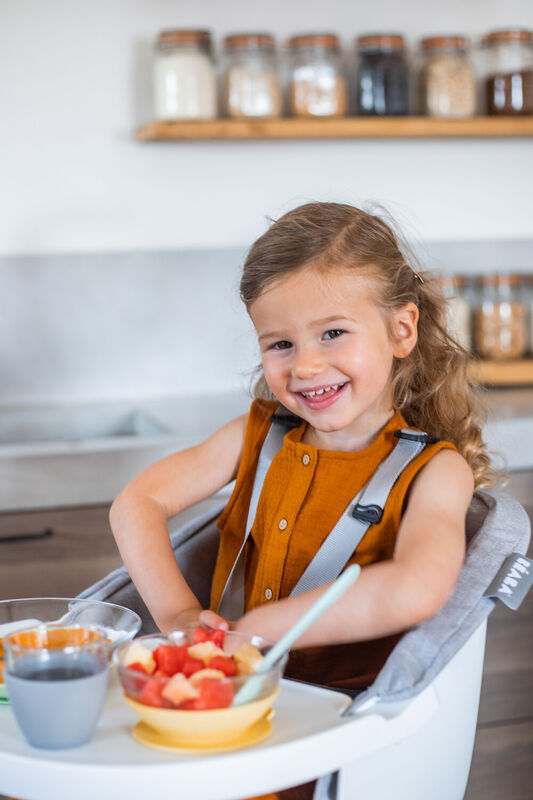 Seat for Up and Down High Chair grey