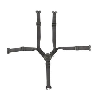 5-point harness Evolu/Evosit anthracite