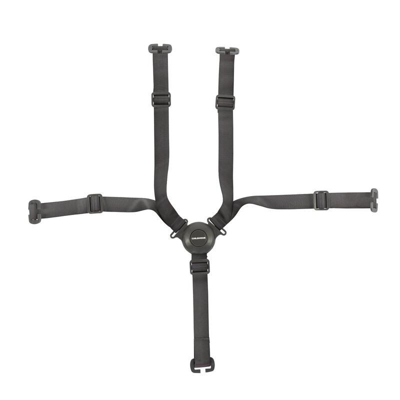 5-point harness Evolu/Evosit anthracite