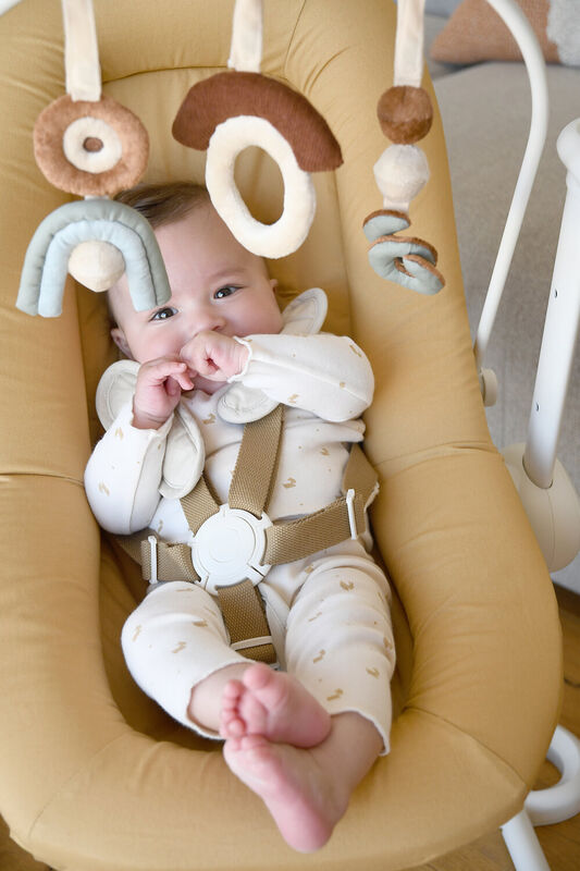 Toy arch Up and Down Baby Bouncers Plus