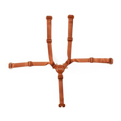 5-point harness Evolu/Evosit rust