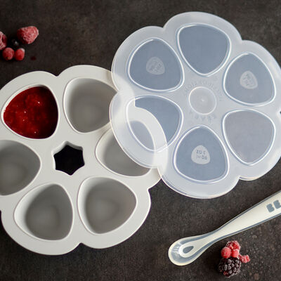 Moule multiportions silicone 6X90ml Gris clair