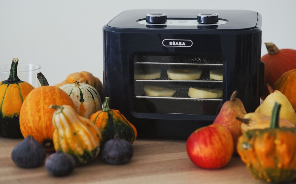 Dry'n'Snack - Déshydrateur alimentaire night-blue