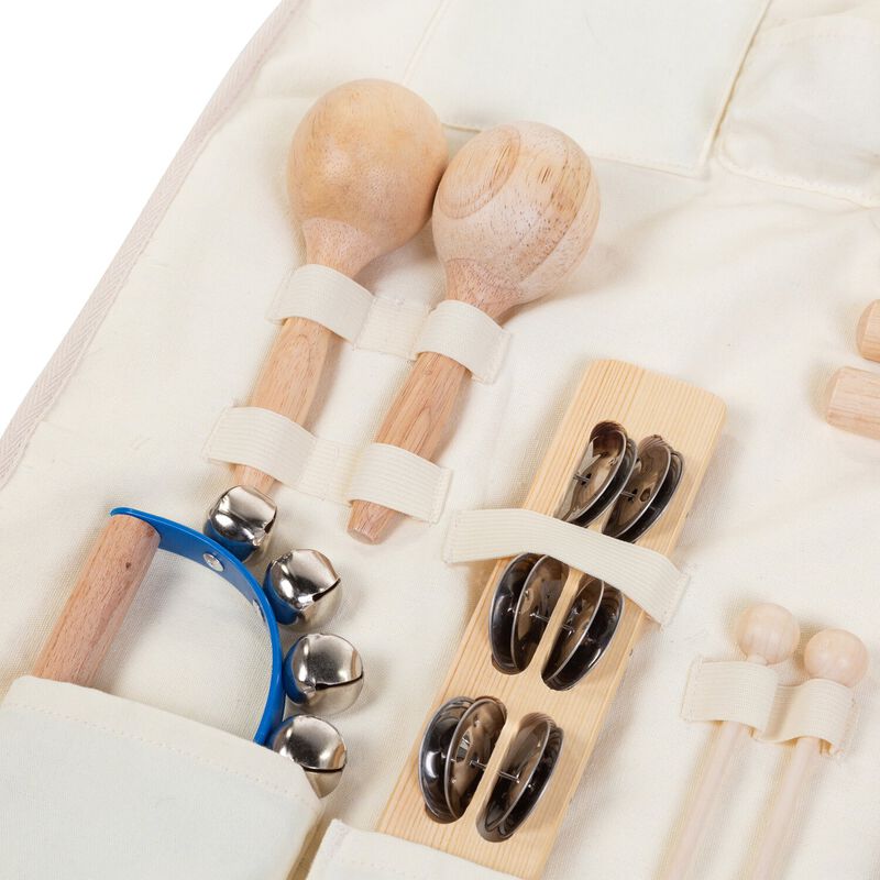 Ensemble de 8 instruments de musique + organisateur
