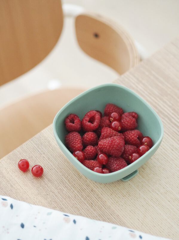 Silicone Suction Bowl sage green