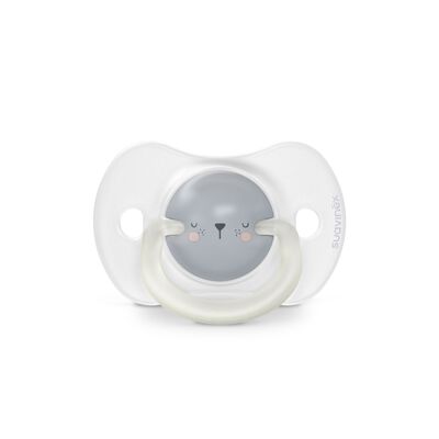 Lot de 2 sucettes phosphorescentes SX Pro 0/6M Night&Day Bear