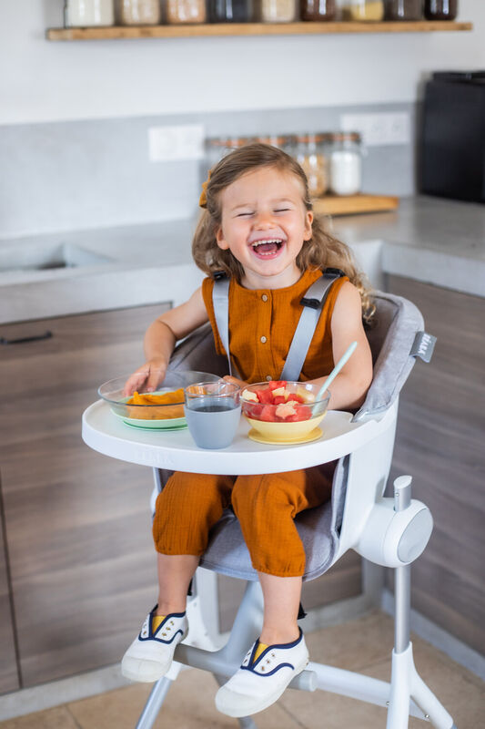 Seat for Up and Down High Chair grey