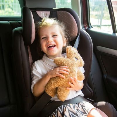 Cintura di sicurezza Teddy marrone