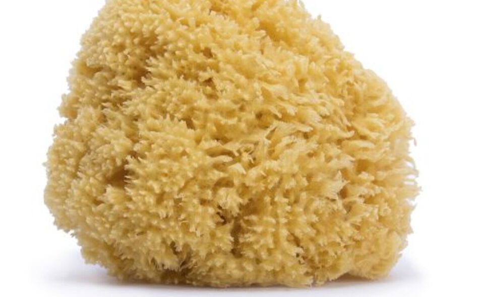 Schwamm aus Naturfasern