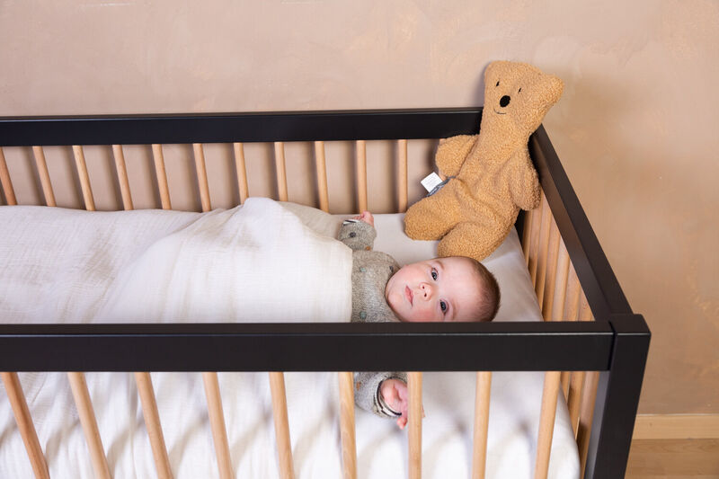 Blanket Teddy 