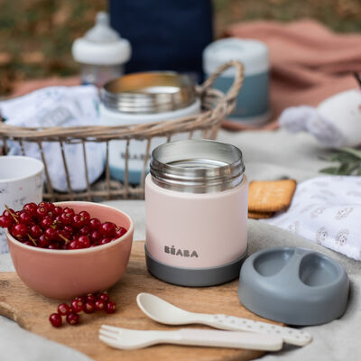 Thermo Portion Stainless Steel Isothermal Food Jar Container 300 ml (Dark mist/Light pink)