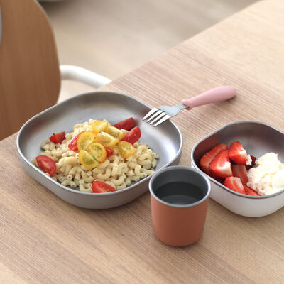 Microwave-Safe Stainless Steel Meal Set - Terracotta 
